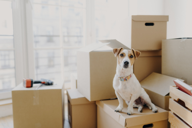 Sahu Packers And Movers